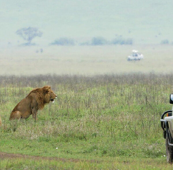 Tarangire National Park Full Day Trip