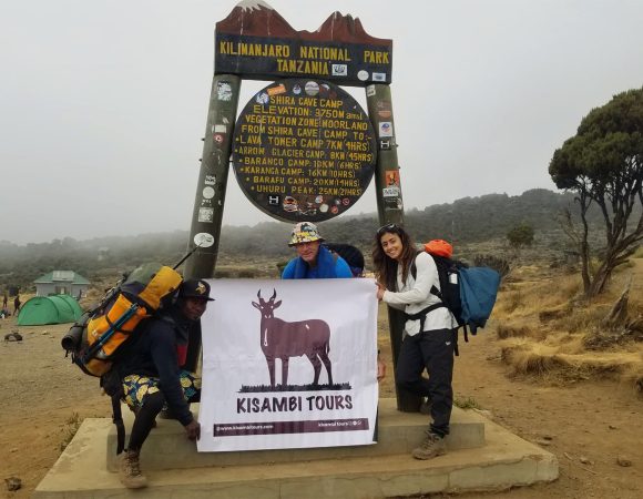 7 Days Kilimanjaro Climb Lemosho Route