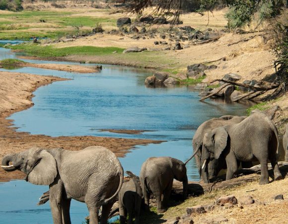 8 Days Tanzania Classic Safari