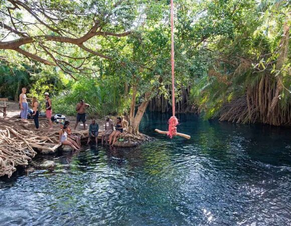 Kikuletwa Hot Spring  Day Trip