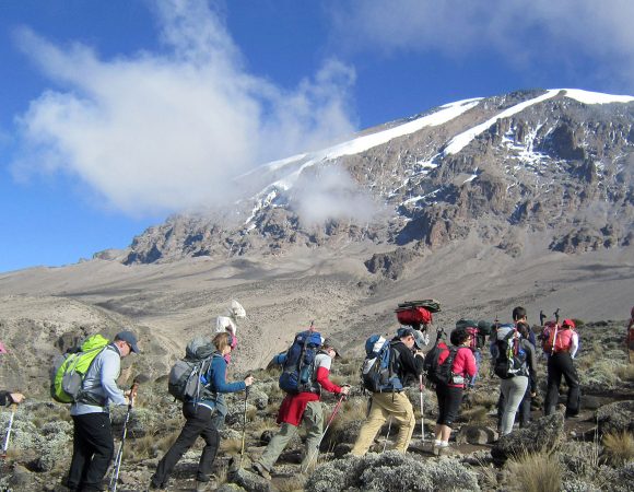 7 Days Kilimanjaro Climbing Rongai Route