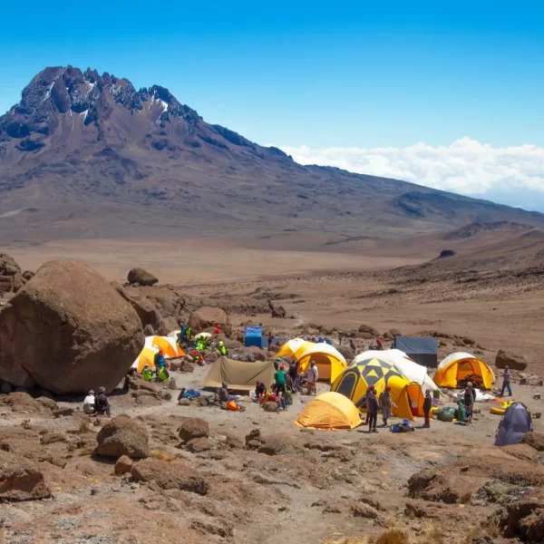 6 Days Kilimanjaro Climbing Umbwe Route