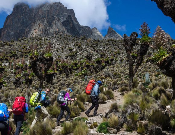 6 Days Kilimanjaro climbing Rongai Route