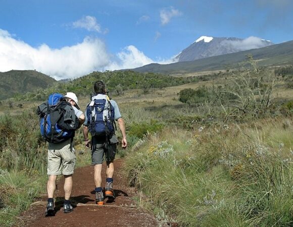 Kilimanjaro Hike to Mandara Hut Full Day Trip