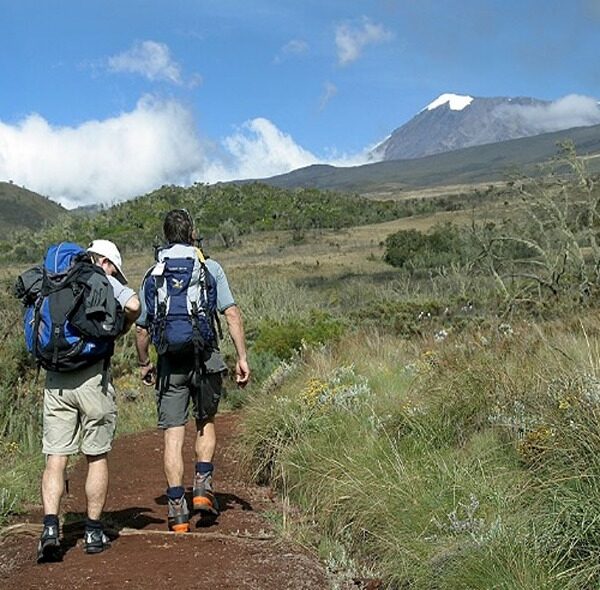 Kilimanjaro Hike to Mandara Hut Full Day Trip