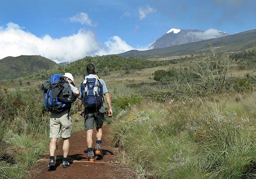 Kilimanjaro Hike to Mandara Hut Full Day Trip