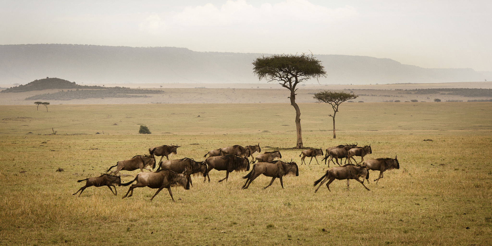 Serengeti National Park