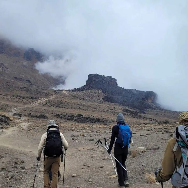 5 Days Kilimanjaro Hiking Via Marangu Route