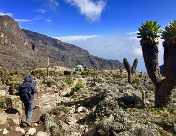 Kilimanjaro Day Hike to Shira Plateau