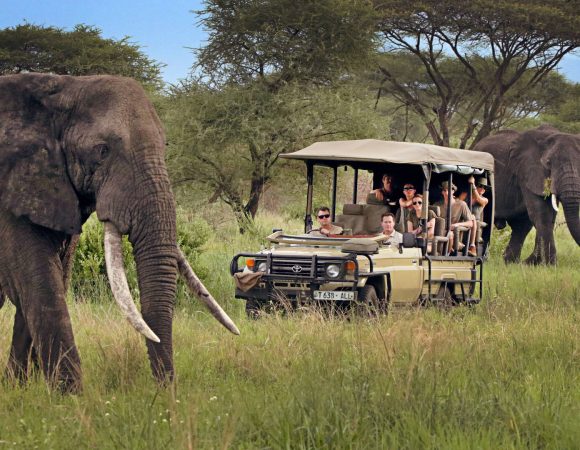 2 Days Tanzania Classic Lodge Safari