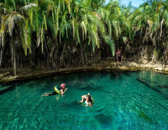 Materuni Waterfall & Kikuletwa Hot Springs Day Tour