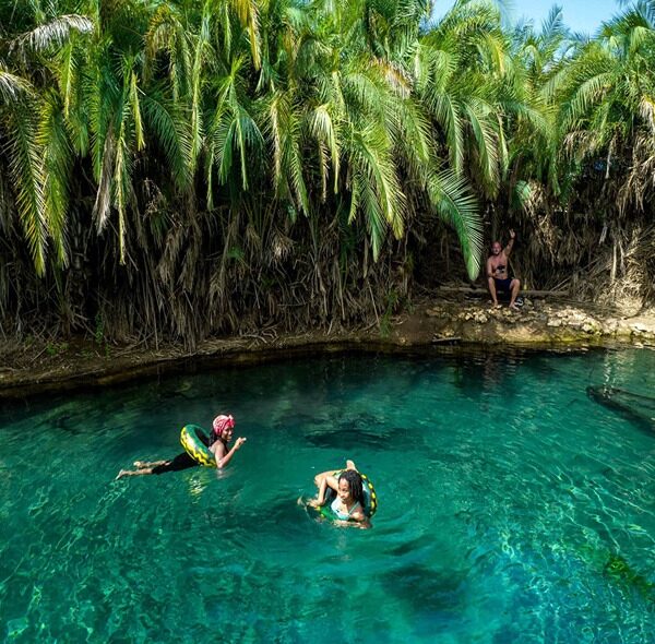 Materuni Waterfall & Kikuletwa Hot Springs Day Tour