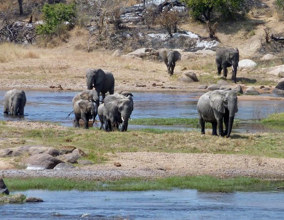 5 Days Tanzania Unforgettable Safari