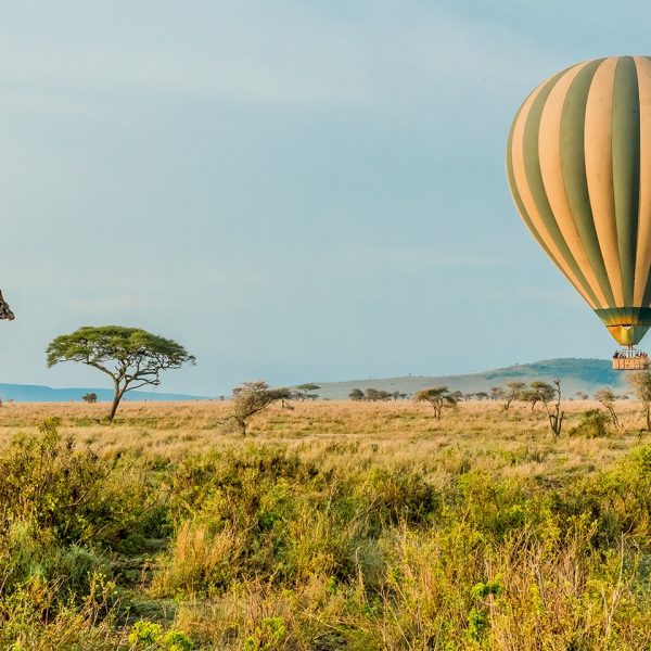 7 Days Tanzania Camping Safari