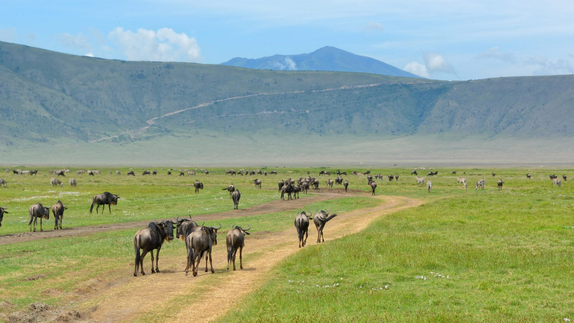 Ngorongoro Crater