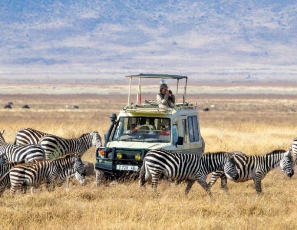 What to expect on a safari in Tanzania?