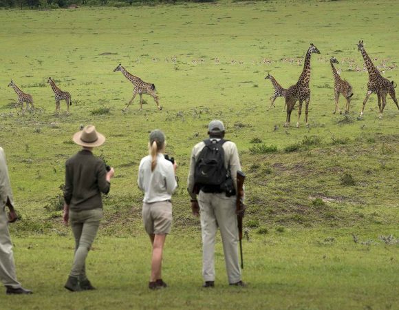 Tanzania Walking Safari