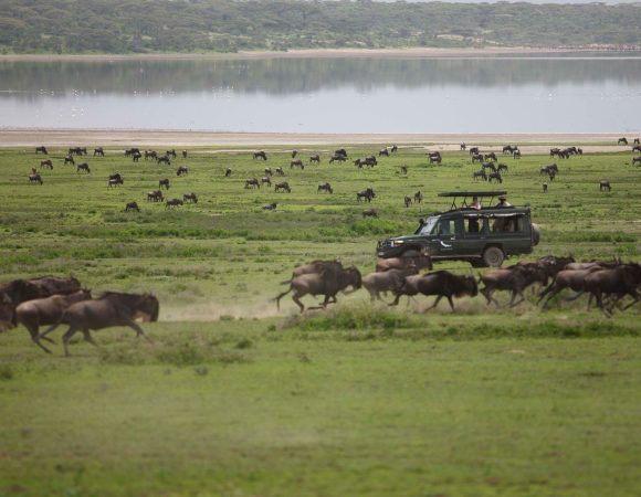 2 Days Tanzania Classic Safari