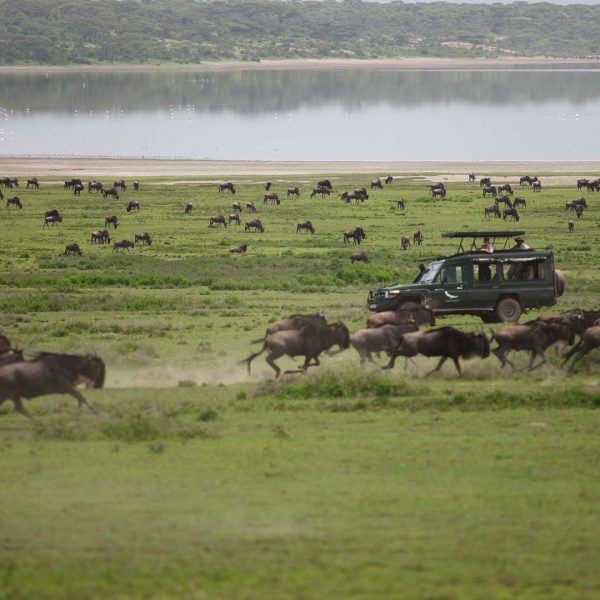 2 Days Tanzania Classic Safari