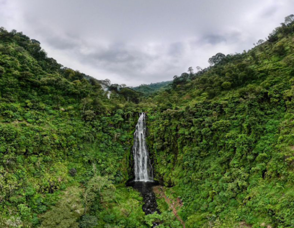 Materuni Waterfall & Coffee Day Tour