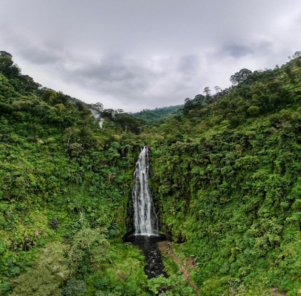 Materuni Waterfall & Coffee Day Tour