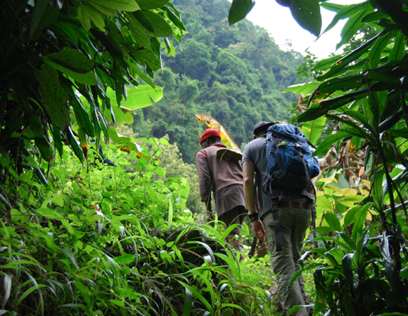 2 Day Kilimanjaro Foothills and Kikuletwa Hotspring