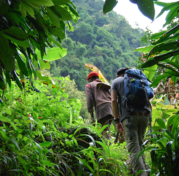 2 Day Kilimanjaro Foothills and Kikuletwa Hotspring