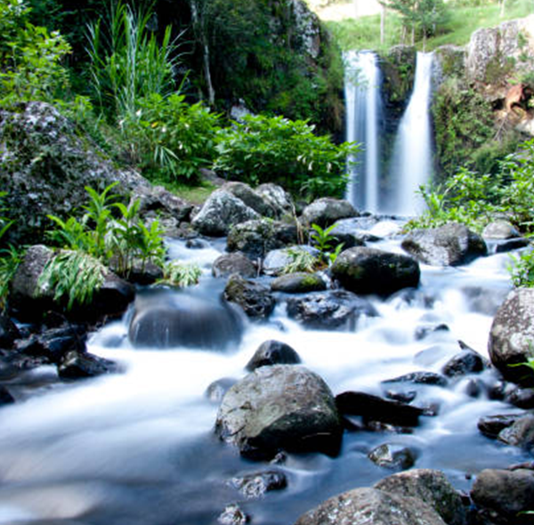 Marangu Visit, Coffee Tours, Waterfall Hike and Chagga Cave