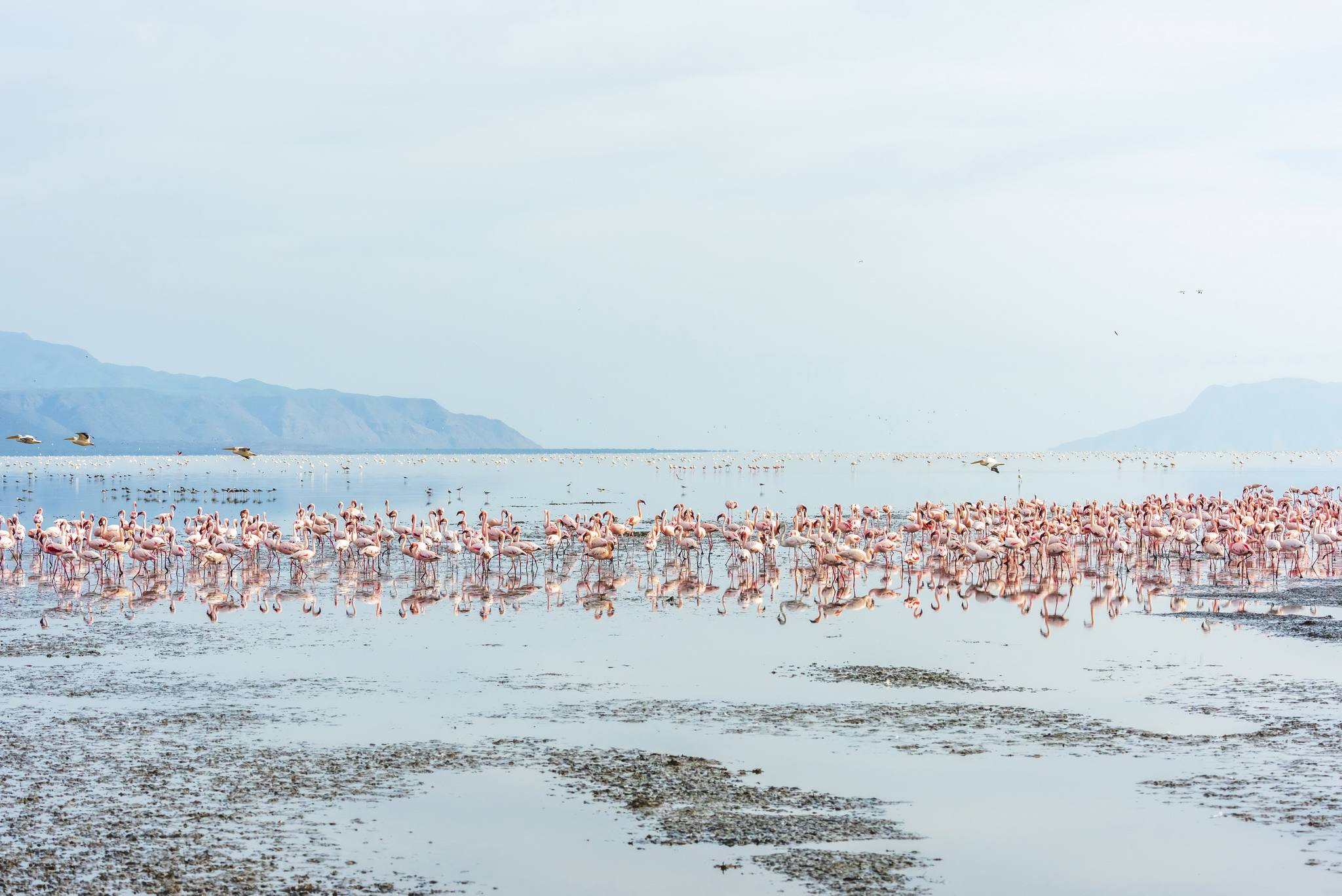 Lake Natron National Park