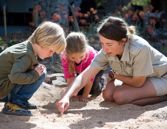 Tanzania Safari With Kids