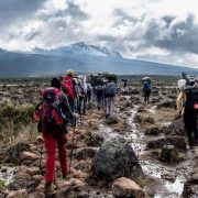 kilimanjaro climb cost