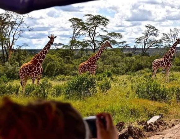 Tanzania Family Safari