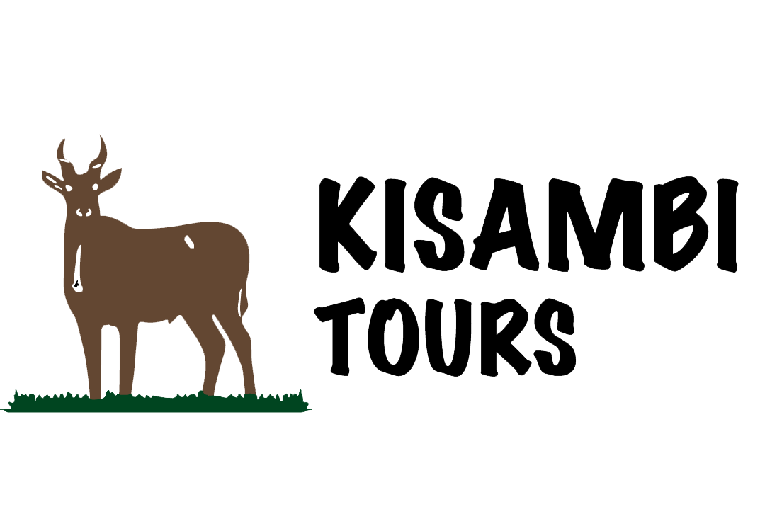 Kisambi Tours