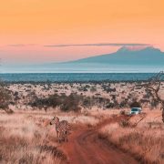 Top Things to Do in the Kilimanjaro Region