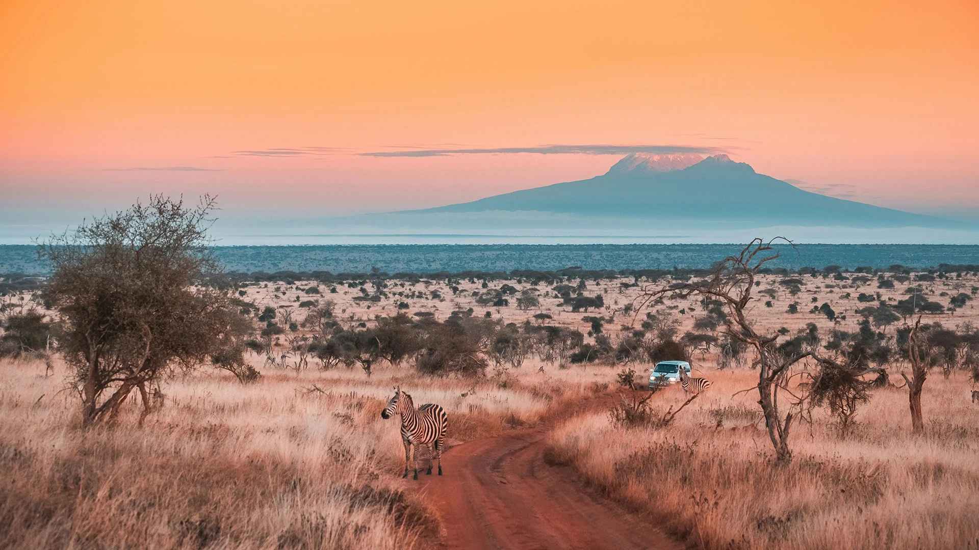Top Things to Do in the Kilimanjaro Region