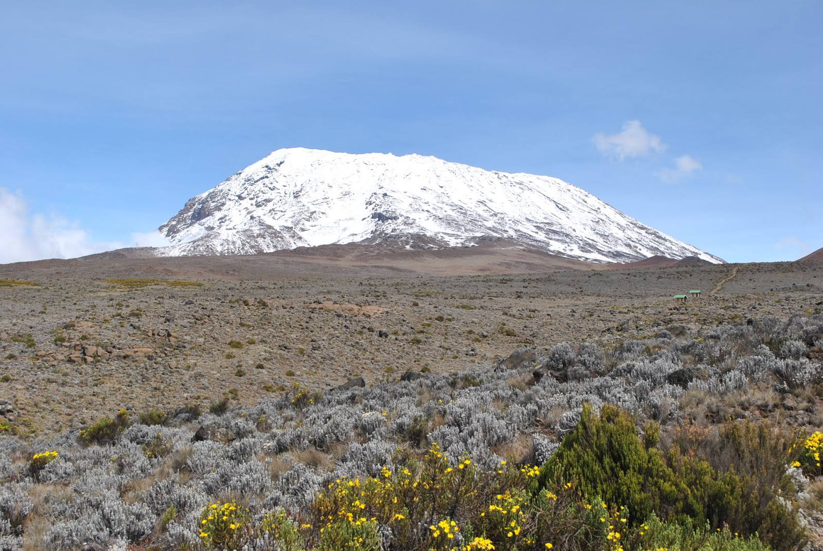 Top Things to Do in the Kilimanjaro Region 