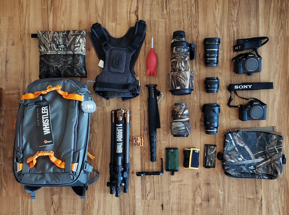 Tips for Planning a Photography Safari in Tanzania