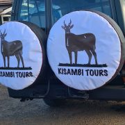Reliable Local Safari Company in Tanzania