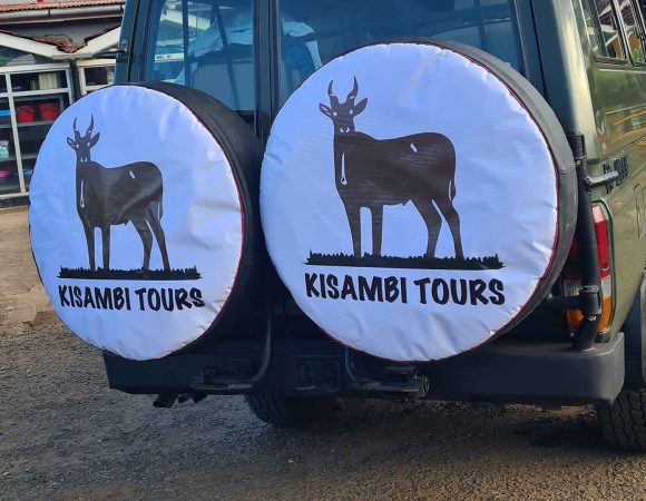 How to Choose a Reliable Local Safari Company in Tanzania
