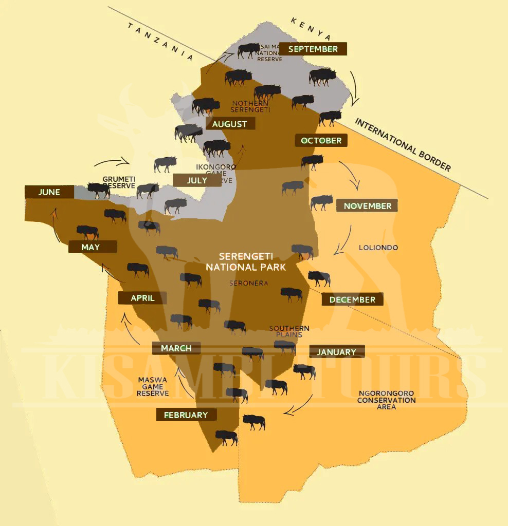 Serengeti Migration Safari