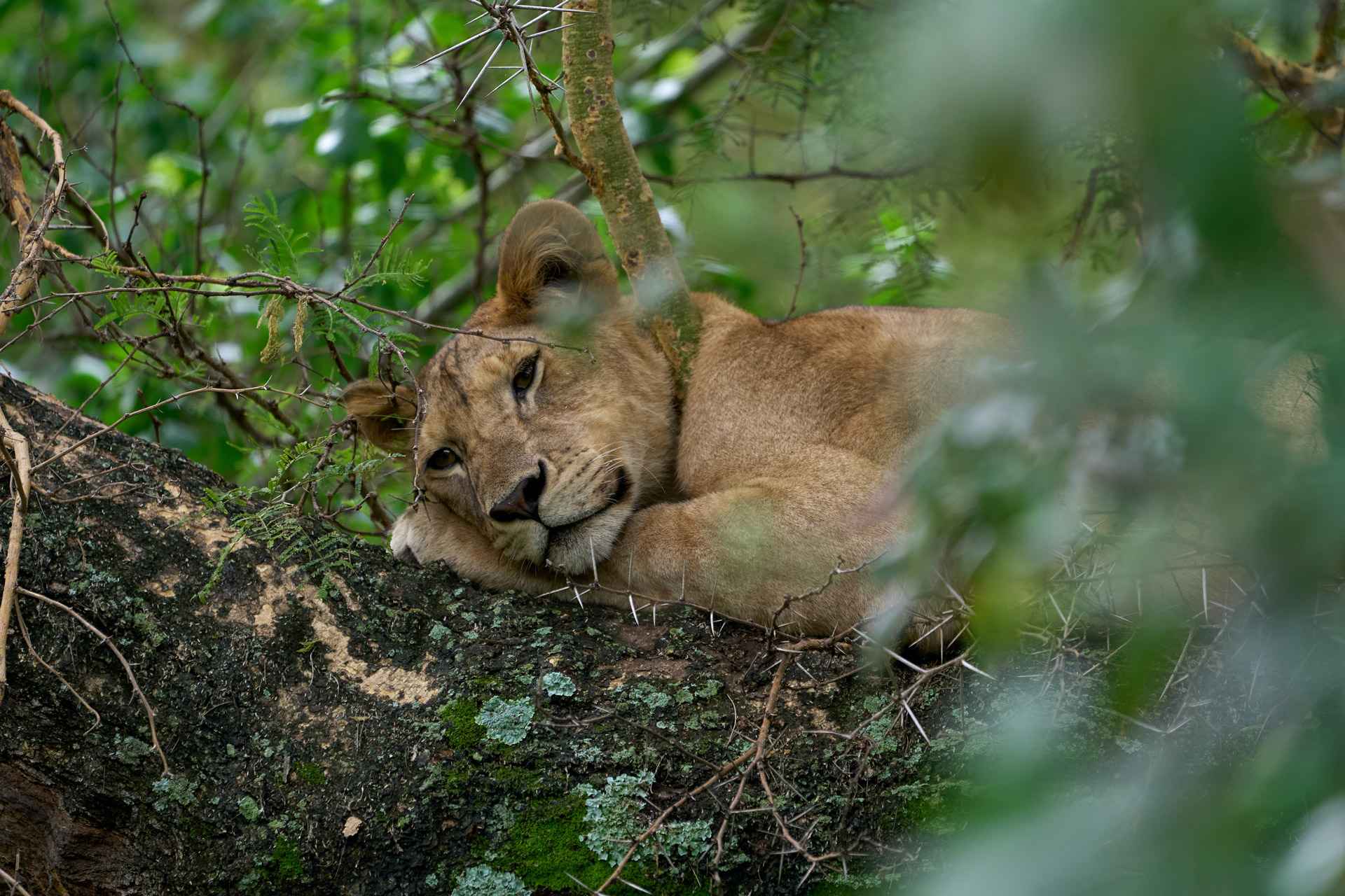 best Tanzania travel packages