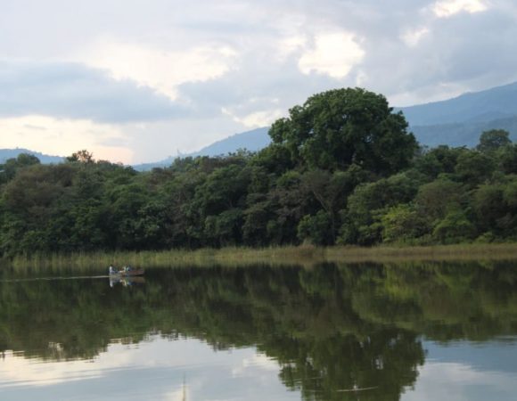 Lake Duluti Canoeing & Nature Walk Experience