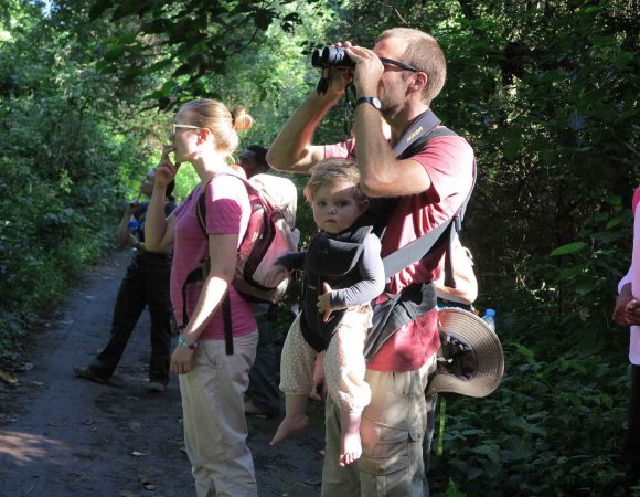 Rau Forest Reserve Night Tour