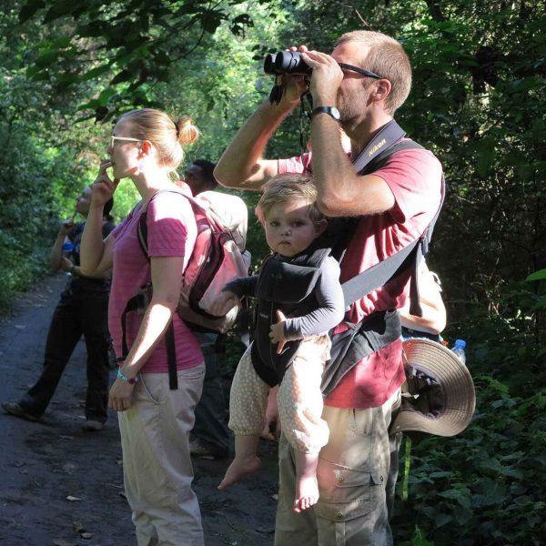 Rau Forest Reserve Night Tour
