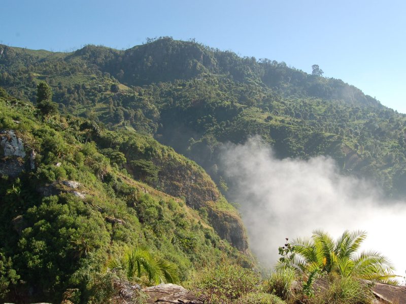 Usambara_Mountains-scaled