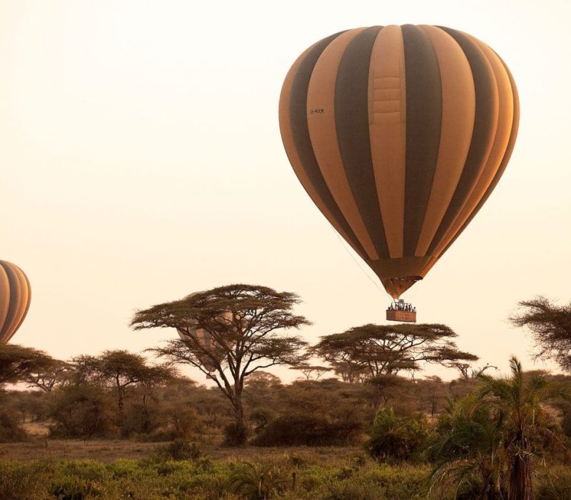 balloon safari