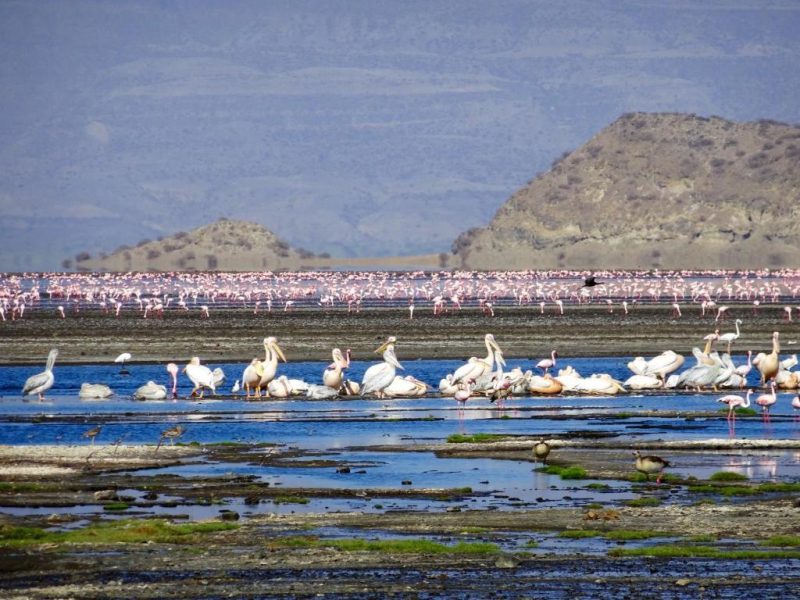 lake-natron-tour