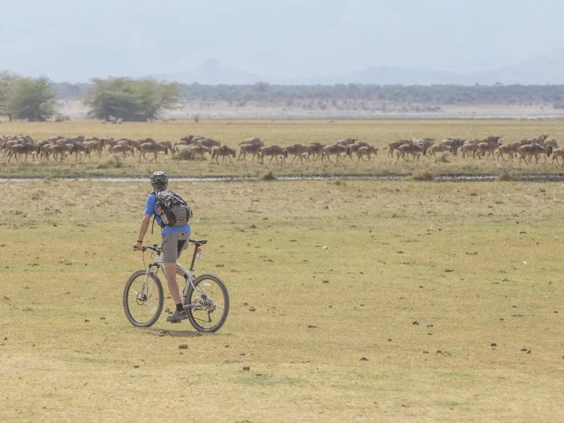 tanzania-bicycle safari